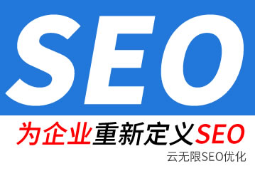 海南专业的seo公司